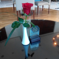 фото из отзыва ID 1473093