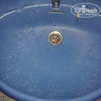 фото из отзыва ID 1473112