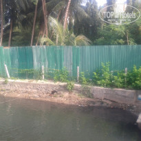 фото из отзыва ID 1473112