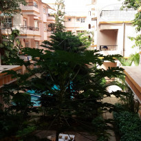 фото из отзыва ID 1473117