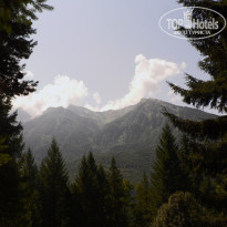 фото из отзыва ID 1473125