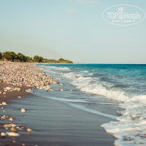 фото из отзыва ID 1473134