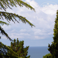 фото из отзыва ID 1473141