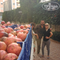 фото из отзыва ID 1473129