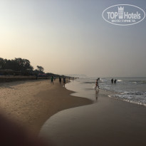 фото из отзыва ID 1473243