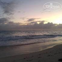 фото из отзыва ID 1473264