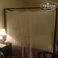 фото из отзыва ID 1473314