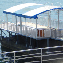 фото из отзыва ID 1473317