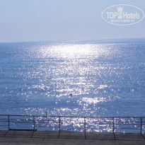 фото из отзыва ID 1473317