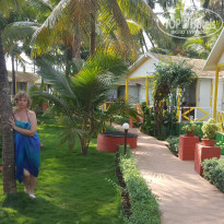 фото из отзыва ID 1473335