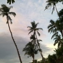 фото из отзыва ID 1473339