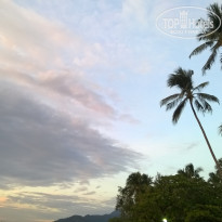 фото из отзыва ID 1473339