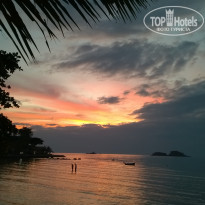 фото из отзыва ID 1473339