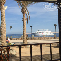 фото из отзыва ID 1473408