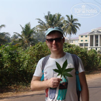 фото из отзыва ID 1473463