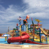 фото из отзыва ID 1473467