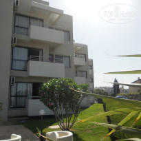 фото из отзыва ID 1473483