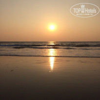 фото из отзыва ID 1473554