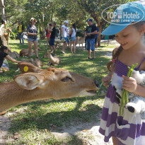 фото из отзыва ID 1473634