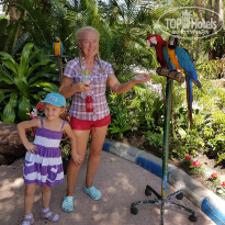 фото из отзыва ID 1473634