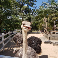 фото из отзыва ID 1473634