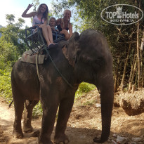 фото из отзыва ID 1473634