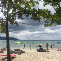 фото из отзыва ID 1473686