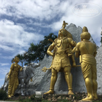 фото из отзыва ID 1473707