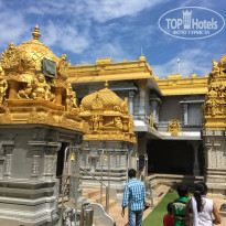 фото из отзыва ID 1473707