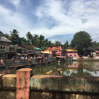 фото из отзыва ID 1473707