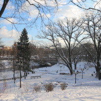 фото из отзыва ID 1473738