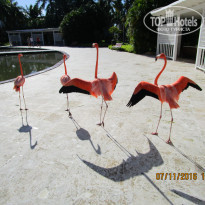 фото из отзыва ID 1473741