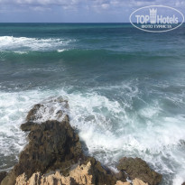 фото из отзыва ID 1473747