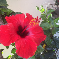 фото из отзыва ID 1473747