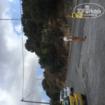 фото из отзыва ID 1473747