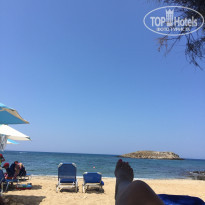 фото из отзыва ID 1473747