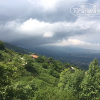 фото из отзыва ID 1473852