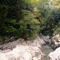 фото из отзыва ID 1473125