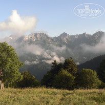 фото из отзыва ID 1473125