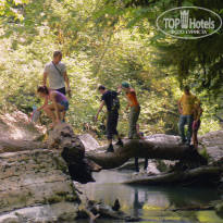 фото из отзыва ID 1473125