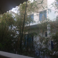 фото из отзыва ID 1473971