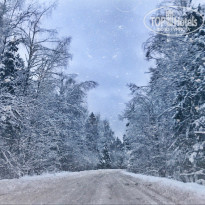 фото из отзыва ID 1474009