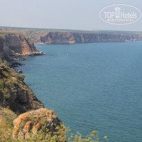 фото из отзыва ID 1474038