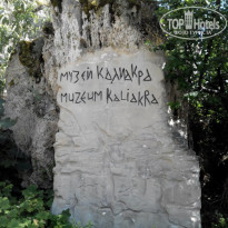 фото из отзыва ID 1474038