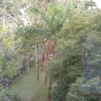 фото из отзыва ID 1474174