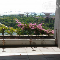 фото из отзыва ID 1474238