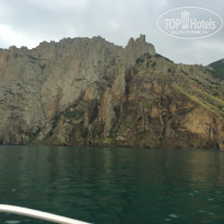 фото из отзыва ID 1474321