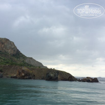 фото из отзыва ID 1474321