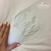 фото из отзыва ID 1474327