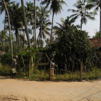 фото из отзыва ID 1474378